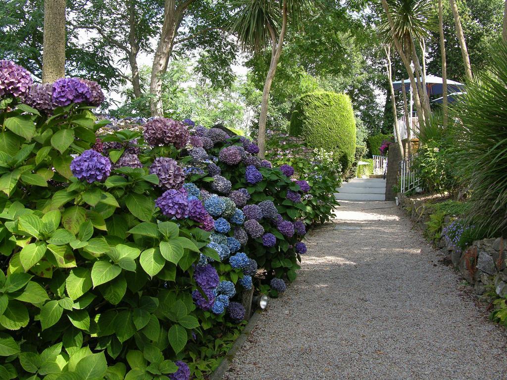 Water'S Edge Hotel Bouley Bay Eksteriør billede